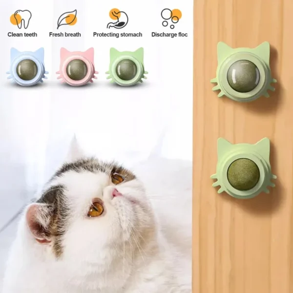 1PCS Catnip Lollipop Cat Treat Wall Design Dental Care Fresh Breath Cat Snacks Energy Ball Stomach Protection Pet Supplies - Image 5