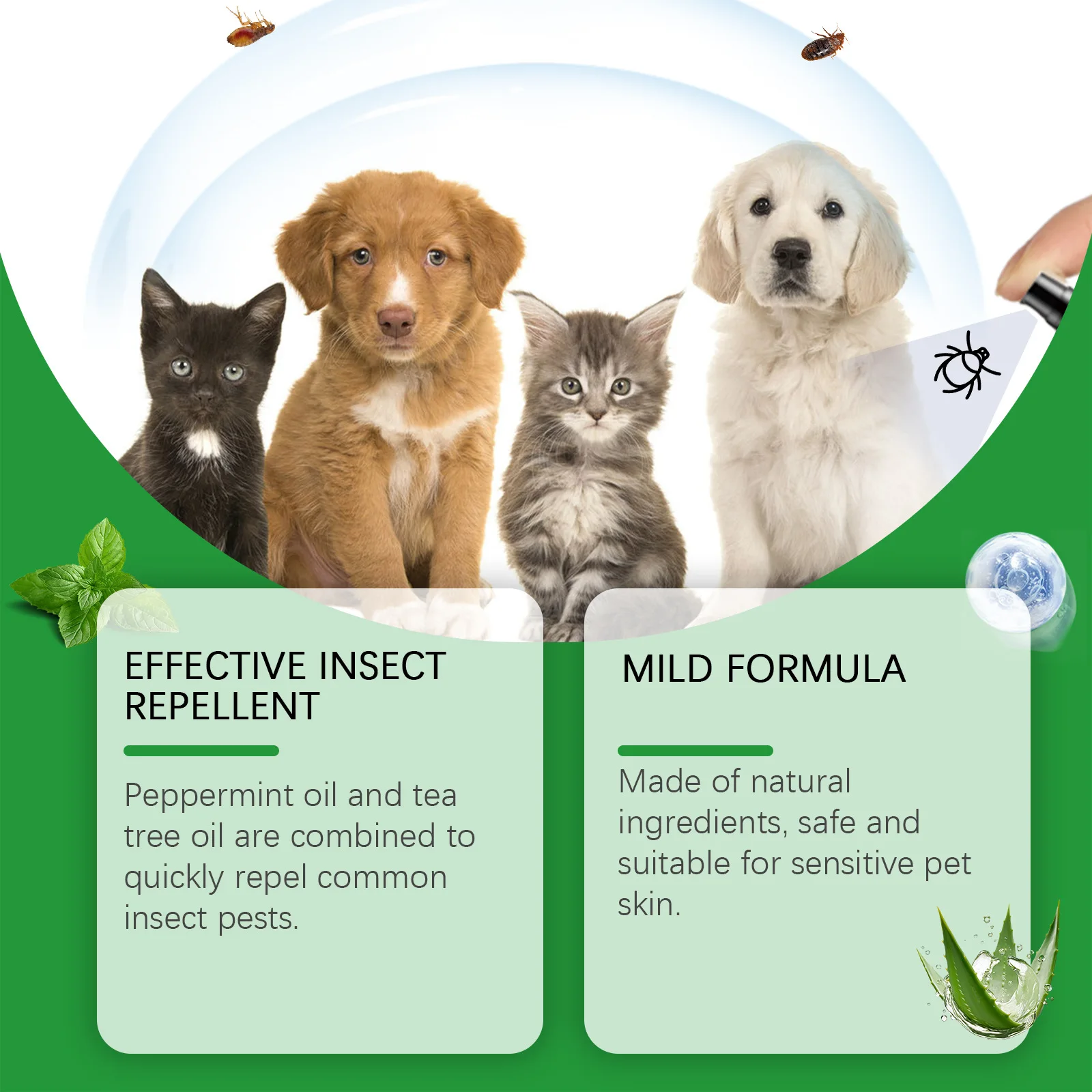 Mite Removal Spray Cats Dogs Flea Killer Itching Relief Remove Ticks Cat Allergy Treatments Anti Lice Insect Pet Skin Care Spray - Imagem 5