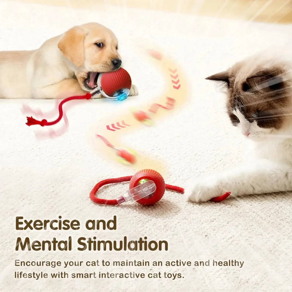 LEMEENQ Cat Interactive Ball Toy Auto Rolling Ball with Tail Rechargeable Smart Pet Interactive Toy Intelligent Mouse for Cat - Image 5