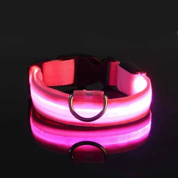 Dog Collar Nylon LED Night Safety Flashing Glow In The Dark Pet Dog Leash pet Dogs Luminous Fluorescent dog accessories collar - Imagen 5