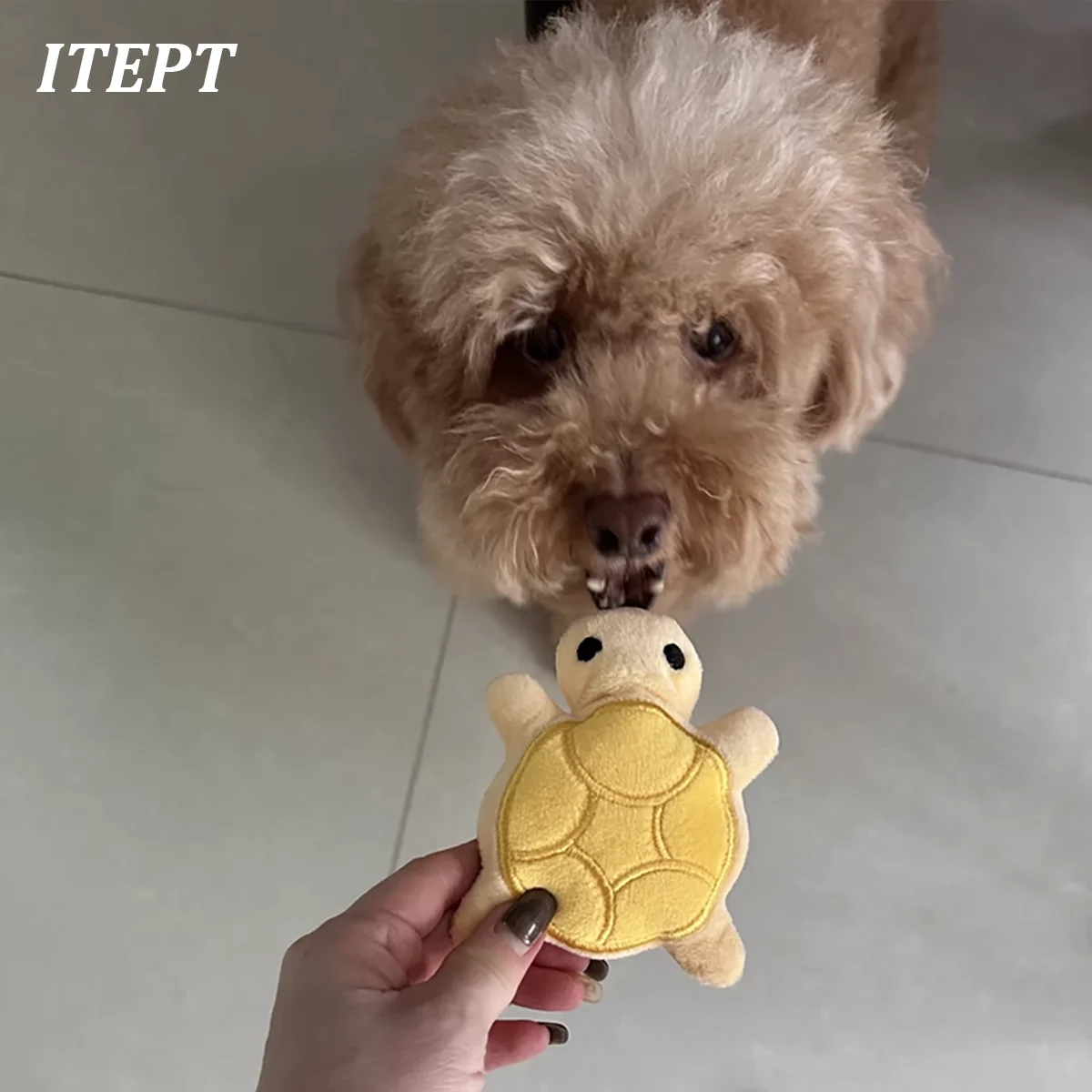 Mini cute turtle dog plush toy, squeaking dog teething sound toy, soft and safe, good for dental health, suitable for puppies - Imagem 6