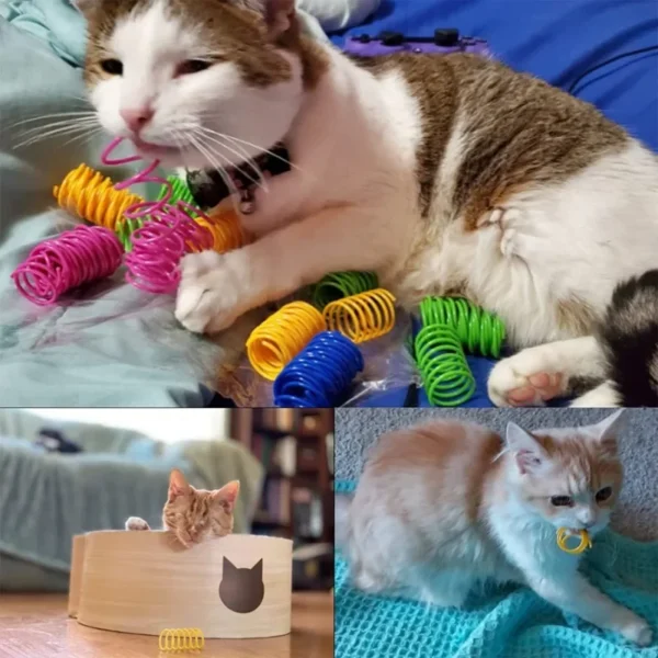 8/12pcs Cat Toys Interactive Wide Durable Heavy Gauge Pet Kitten Colorful Springs Cat Toy Coil Spiral Springs Dog Toys - Image 2