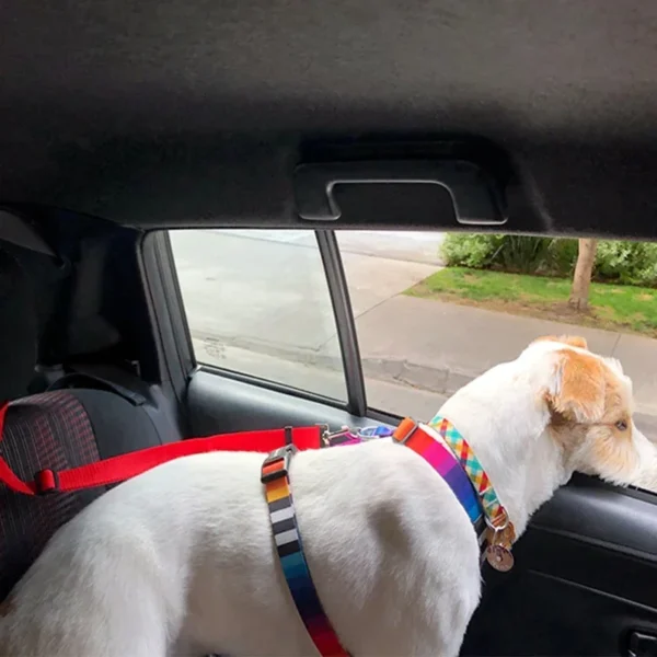 Solid Color Two-in-one Pet Car Seat Belt Nylon Lead Leash Backseat Safety Belt Adjustable Dogs Harness Collar Pet Accessories - Image 4