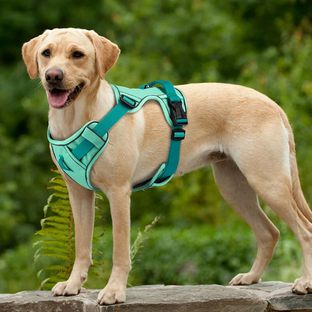 Mesh Breathable Dog Harness Nylon Reflective Dog Harnesses Vest Durable Pet Training Vest Adjustable for Small Medium Large Dogs - Imagen 5