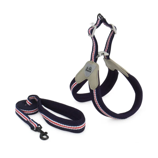 Vest Style Dog Harness Leash Set Chest Strap Leashes Pet Harness for Small Medium Dogs - Image 5
