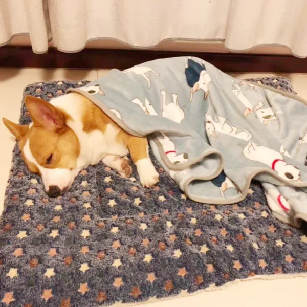 Soft Flannel Pet Mat dog Bed Winter Thicken Warm Cat Dog Blanket puppy Sleeping Cover Towel cushion for small Medium large dogs - Image 3