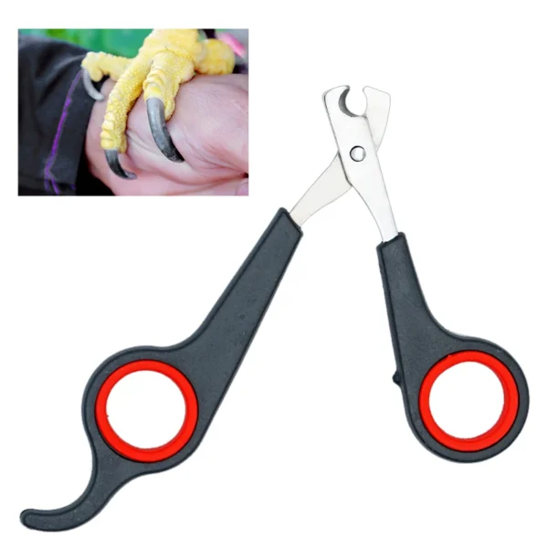 Pet Bird Parrot Small Animals Accessory Grooming Tool Nail Scissors Clipper Black And Red - Image 4