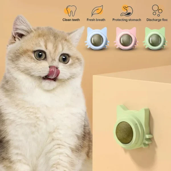 1PCS Catnip Lollipop Cat Treat Wall Design Dental Care Fresh Breath Cat Snacks Energy Ball Stomach Protection Pet Supplies - Image 6
