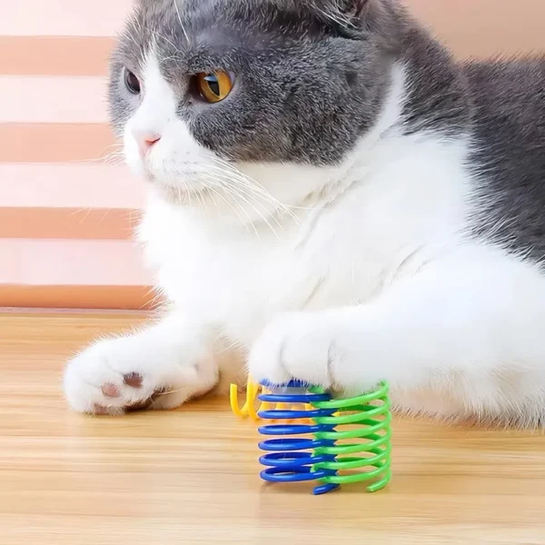 4-200PCS Cat Spring Toy Spiral Color Springs Cat toys Interactive High quality Plastic Spiral Springs Pet Toys Pet Products - Image 5