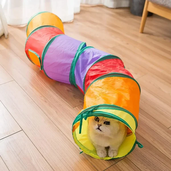 Cat RainbowTunnel Tube, Foldable Cat Toys, Cat Training, Fun Interactive Toys, Puppy Black Tunnel, Pet Supplies, Cat Accessories - Image 4