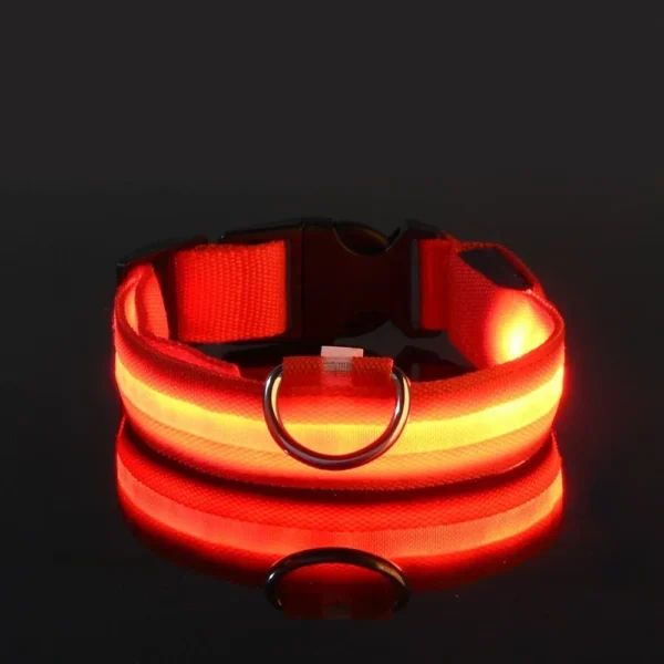 Dog Collar Nylon LED Night Safety Flashing Glow In The Dark Pet Dog Leash pet Dogs Luminous Fluorescent dog accessories collar - Imagen 4
