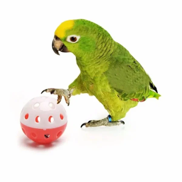 10pcs Parrot Toy Balls Fun Colored Hollow Bell Ball Sound Bird Toy Parakeet Training Interactive Chew Toys Pet Bird Supplies - Image 5