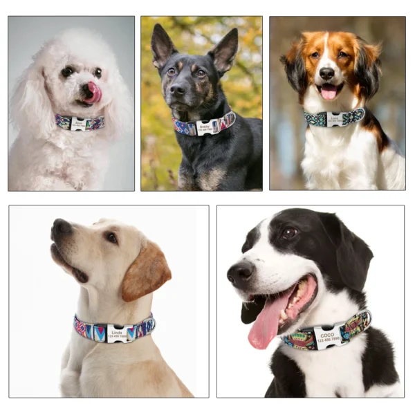 Custom Engraved Dog Collar Personalized Nylon Pet Dog Tag Collar Printed Puppy Cat Nameplate ID Collars For Small Large Dogs – Bild 5