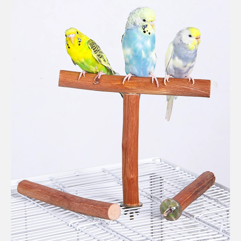 Natural Fruit Tree Parrot Pole Toy T-shaped Bird Cockatiel Parakeet Perches Bite Claw Grinding Toy Bird Cage Accessories Pet To
