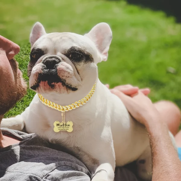 16-inch custom dog chain collar Cuban link dog collar walking metal flashing dog collar with design safety buckle puppy pet cha - Image 6