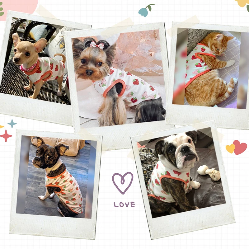 Summer Dog Vest Cute Cartoon Print Breathable Thin T-Shirt for Small Medium Dog Fashion Chihuahua Yorkshire Vest Pet Clothes – Image 2