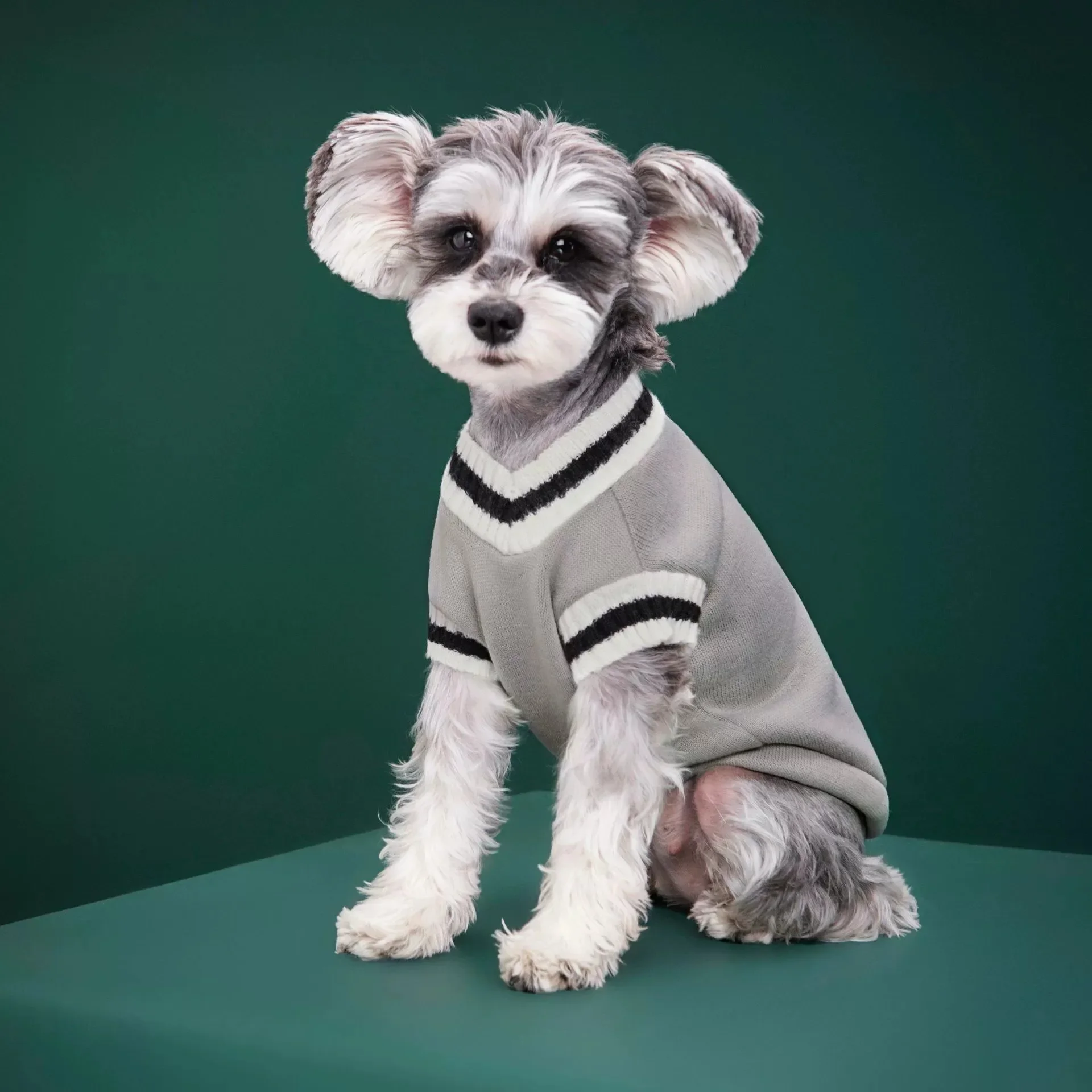 Autumn Winter Pet Cat Dog Sweater Warm Coat For Small Medium Large Dogs Kitten Pullover Puppy Vest Warm Pet Clothes Cat Costume - Imagem 6