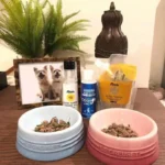 Ceramic colored cat bowl Pet bowl Cat bowl High foot protection Large diameter Large size cannot be turned over
