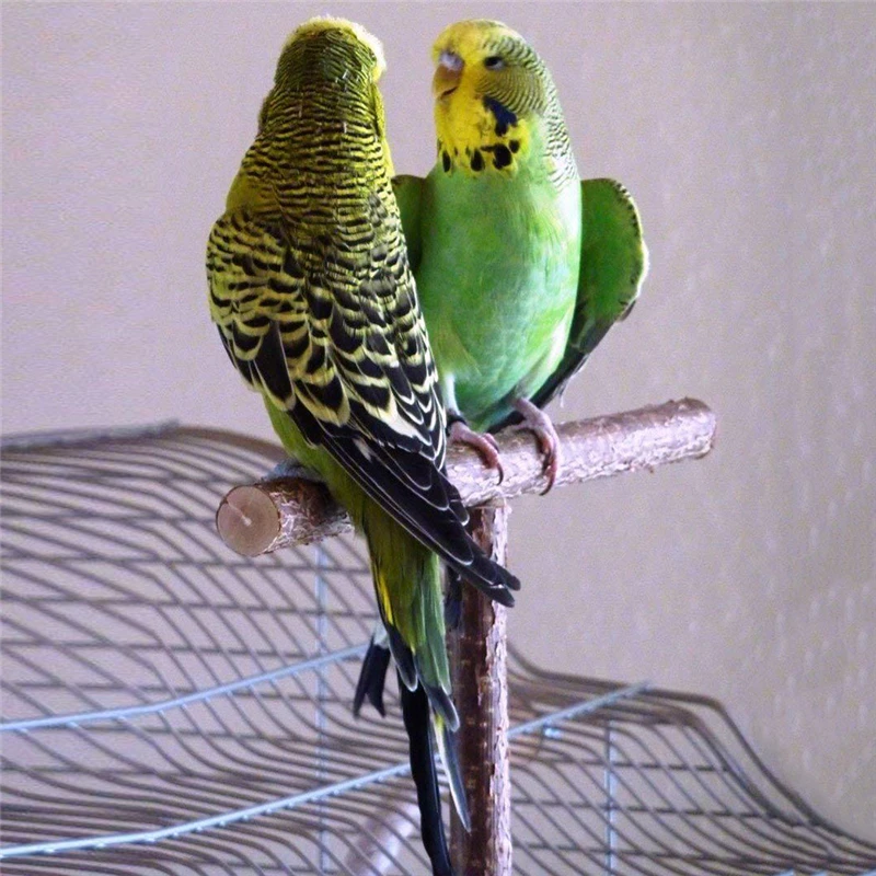 Pet Toys Parakeet Budgie Hanging Play Toys Bird Cage Wood Branch Stand Perches Parrot Wooden Holder Perches - Image 2