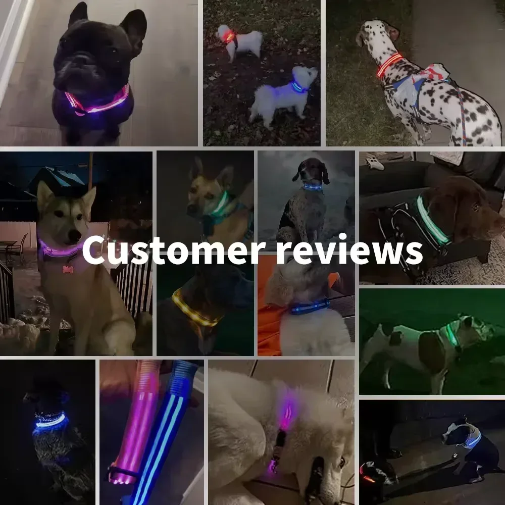 LED Glowing Dog Collar Adjustable Flashing Rechargea Luminous Collar Night Anti-Lost Dog Light HarnessFor Small Dog Pet Products - Imagem 6