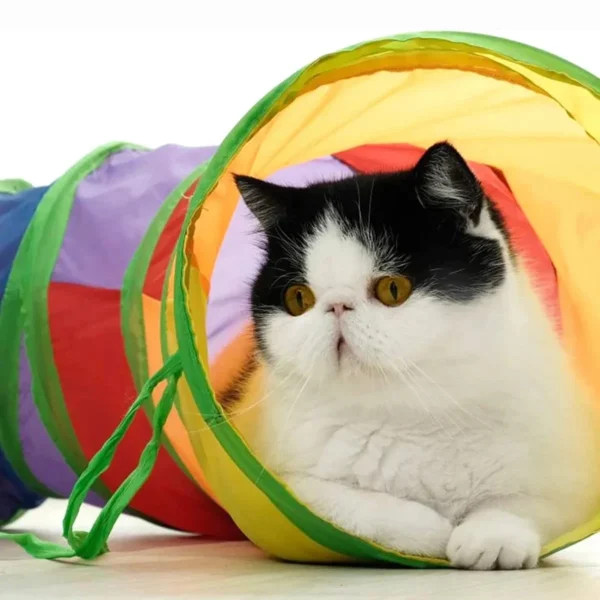 Cat RainbowTunnel Tube, Foldable Cat Toys, Cat Training, Fun Interactive Toys, Puppy Black Tunnel, Pet Supplies, Cat Accessories - Image 3