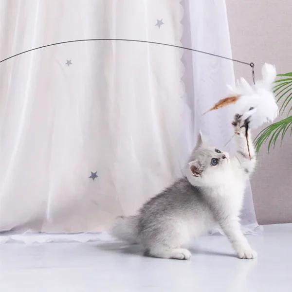 Cat Toy Funny Cat Toys Interactive Self Hi Feather Toys for Cats Tease Bite Resistant Cats Toy with Sucker Stick Pet Supplies - Image 4