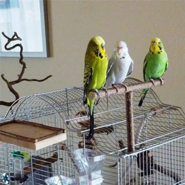 Parrot T-shaped Swing Frame Bird Toys Pine Parrots Swing Hanging Rack Secure Parrot Toy Pet Supplies Bird Accessories — изображение 2