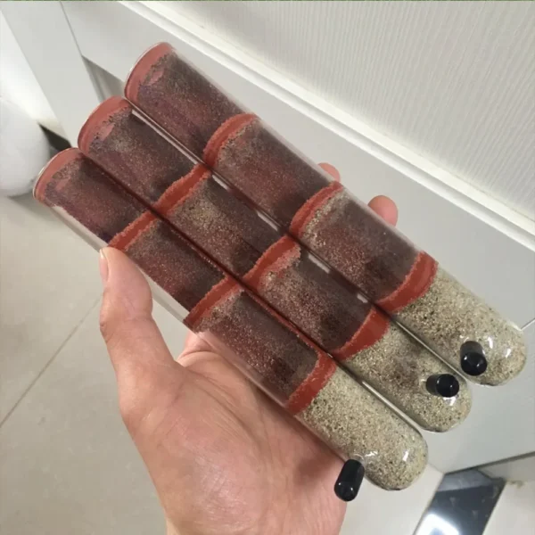 Various Sizes Ant Farm House Bamboo Test Tube Ant Nest Plaster Tube for Ant House Gypsum Pet Anthill Workshop Villa Queen Home - Image 6