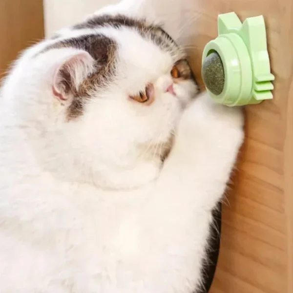1PCS Catnip Lollipop Cat Treat Wall Design Dental Care Fresh Breath Cat Snacks Energy Ball Stomach Protection Pet Supplies - Image 3