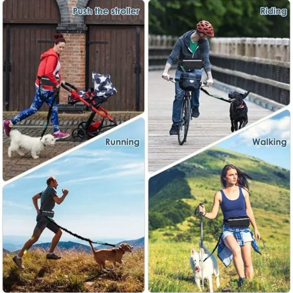 Hands Free Dog Leash Reflective Leash with Waist Bag Retractable Elastic Belt Dog Traction Rope for Running Walking Pet Products - Image 3