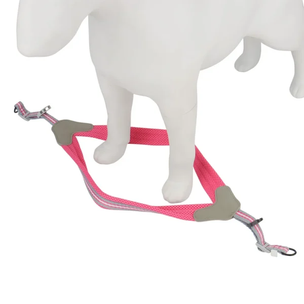 Vest Style Dog Harness Leash Set Chest Strap Leashes Pet Harness for Small Medium Dogs - Image 4