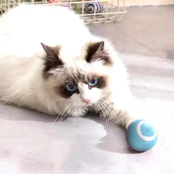 Smart Cat Rolling Ball Electronic Interactive Cat Toy Rechargeable Self-moving Kitten Bite Resistant Durable and Fun Pet Toys - Image 2