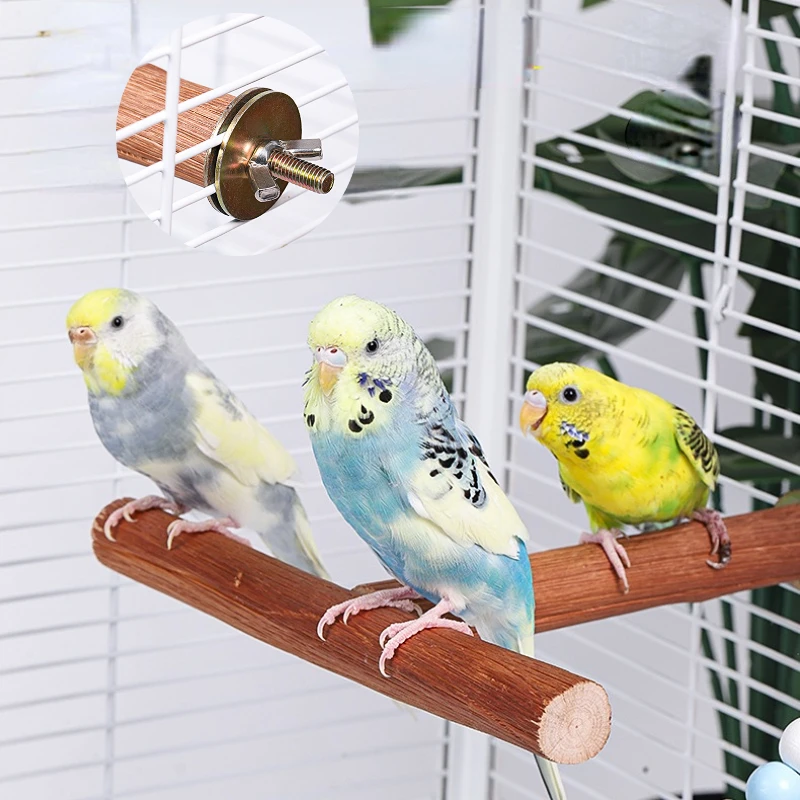 Natural Fruit Tree Parrot Pole Toy T-shaped Bird Cockatiel Parakeet Perches Bite Claw Grinding Toy Bird Cage Accessories Pet To - Imagem 3