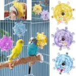 Parrot Wheel Parrot Interactive Toy Bird Turntable Hang Toys Sounding Ball Toys Stand Playing Cage Accessories Pet Supplies Bird