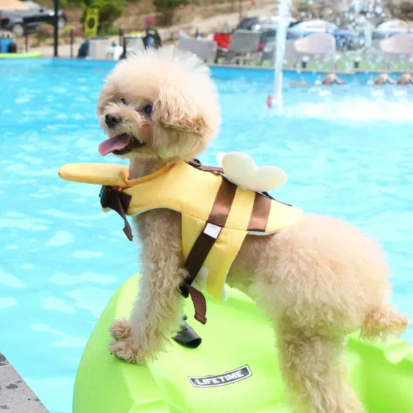 Summer Little Bee Dog Swimsuit Waterproof Puppy Life Jacket Breathable Dog Clothes Harness Swimming Safety for Dog Pet Supplies - Image 5