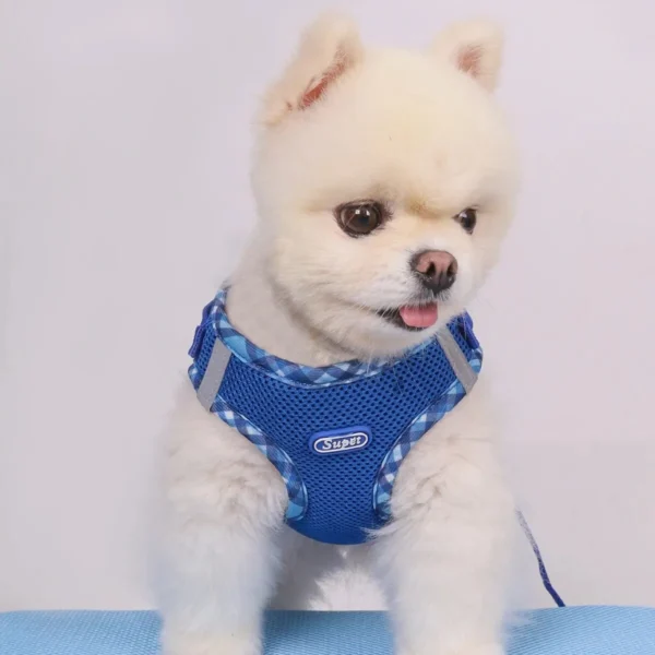 Supet 1pc Dog Harness, Anti-Pull, Pet Harness, Adjustable, Easy to Control, Suitable for Small, Medium Dogs - Image 5