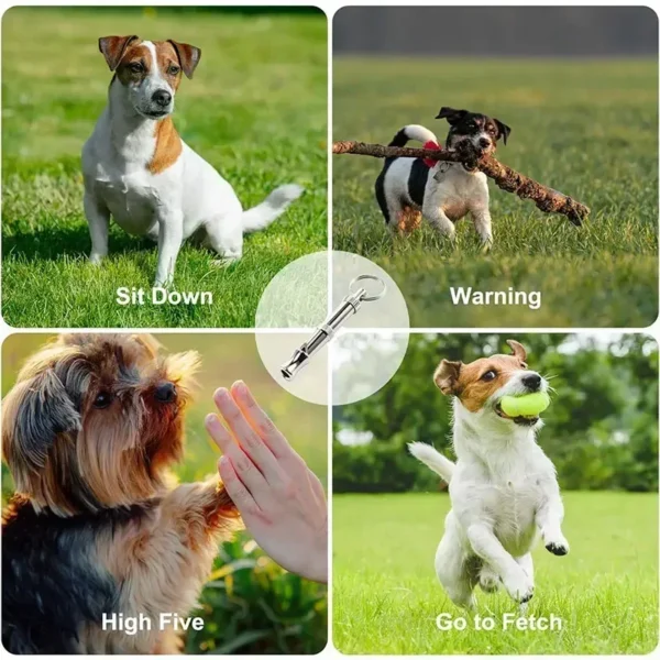 1/2Pcs Dog Whistle To Stop Barking, Adjustable Sound Pitch Dog Whistle With Keychain, Professional Recall Pet Puppy Cat Dog - Image 3