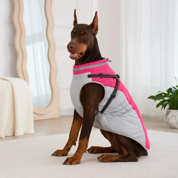 Waterproof Pet Jacket With Harness Winter Warm Dog Clothes for Small Large Dogs Labrador Coat Chihuahua French Bulldog Outfits - Image 2