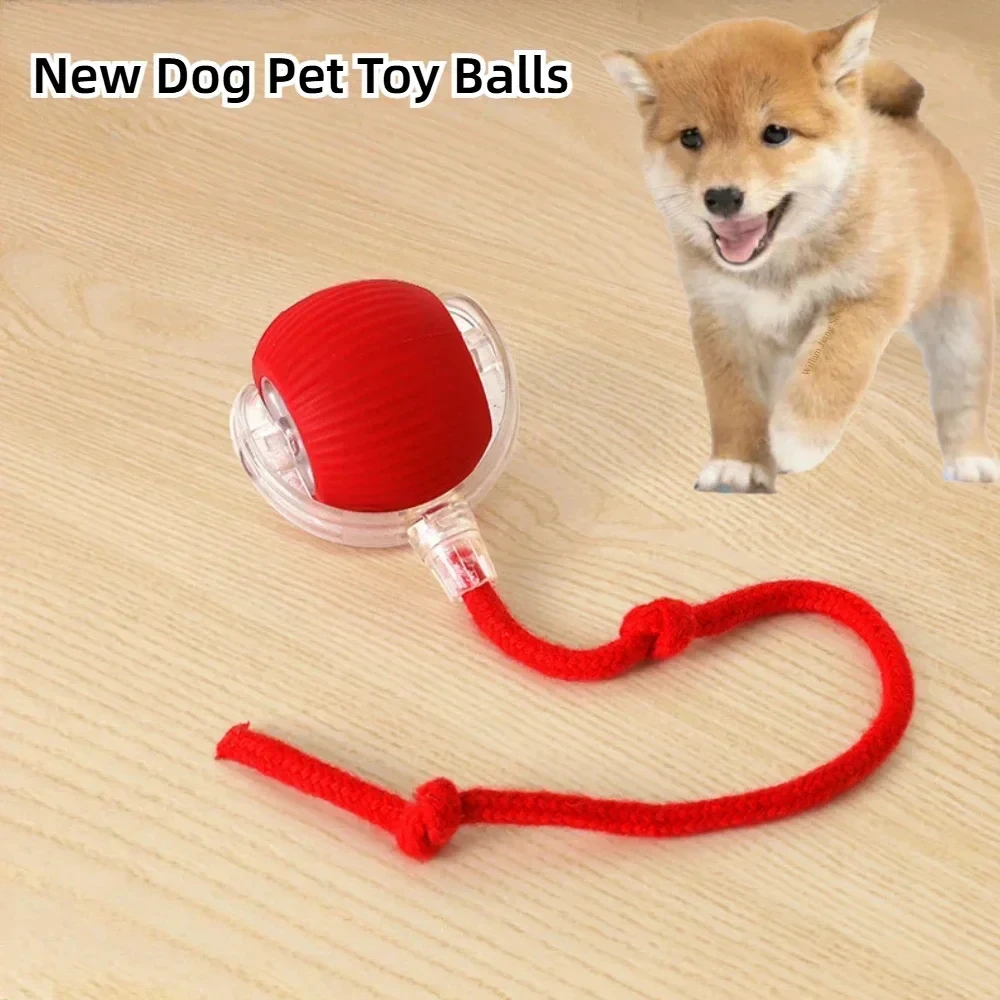 Cat Interactive Ball Toy Automatic Rolling Ball Faux Tail Rechargeable Smart Pet Electric Toy Dog Cat Training Imitate Mouse - Image 3