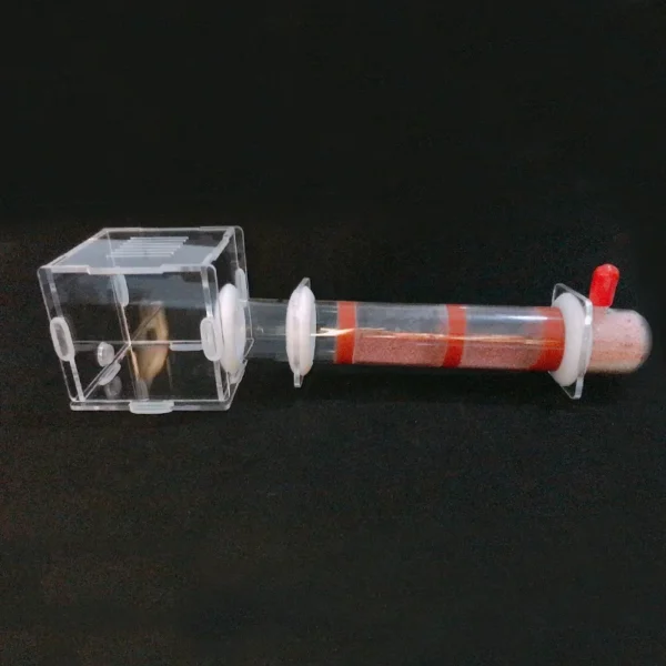 DIY Various Size Ant Farm Bamboo Tube Nest with Feeding Area Pet Anthill Workshop Queen Ant Breeding Nest Ant House Nest Bracket - Image 6